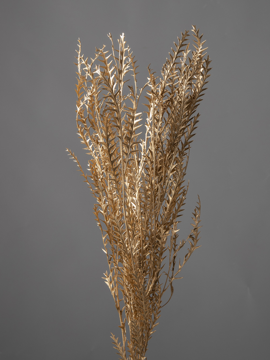 グレビレア・アイバンフォー　ゴールド　40130-902