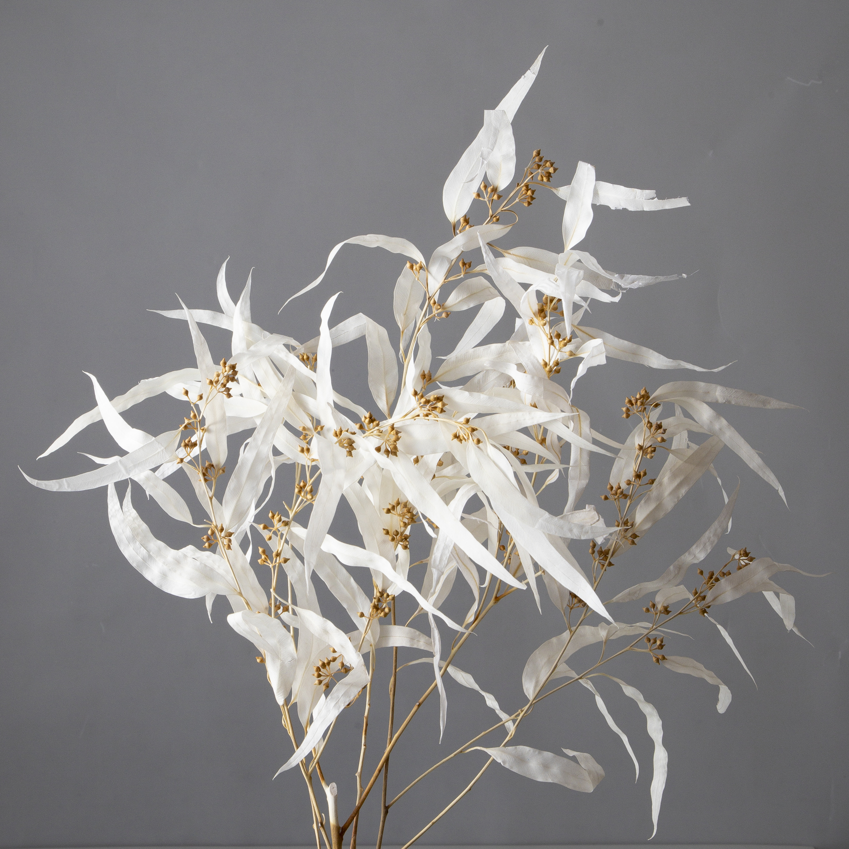 ユーカリ・エキゾチカ・葉付　オフホワイト　40175-011