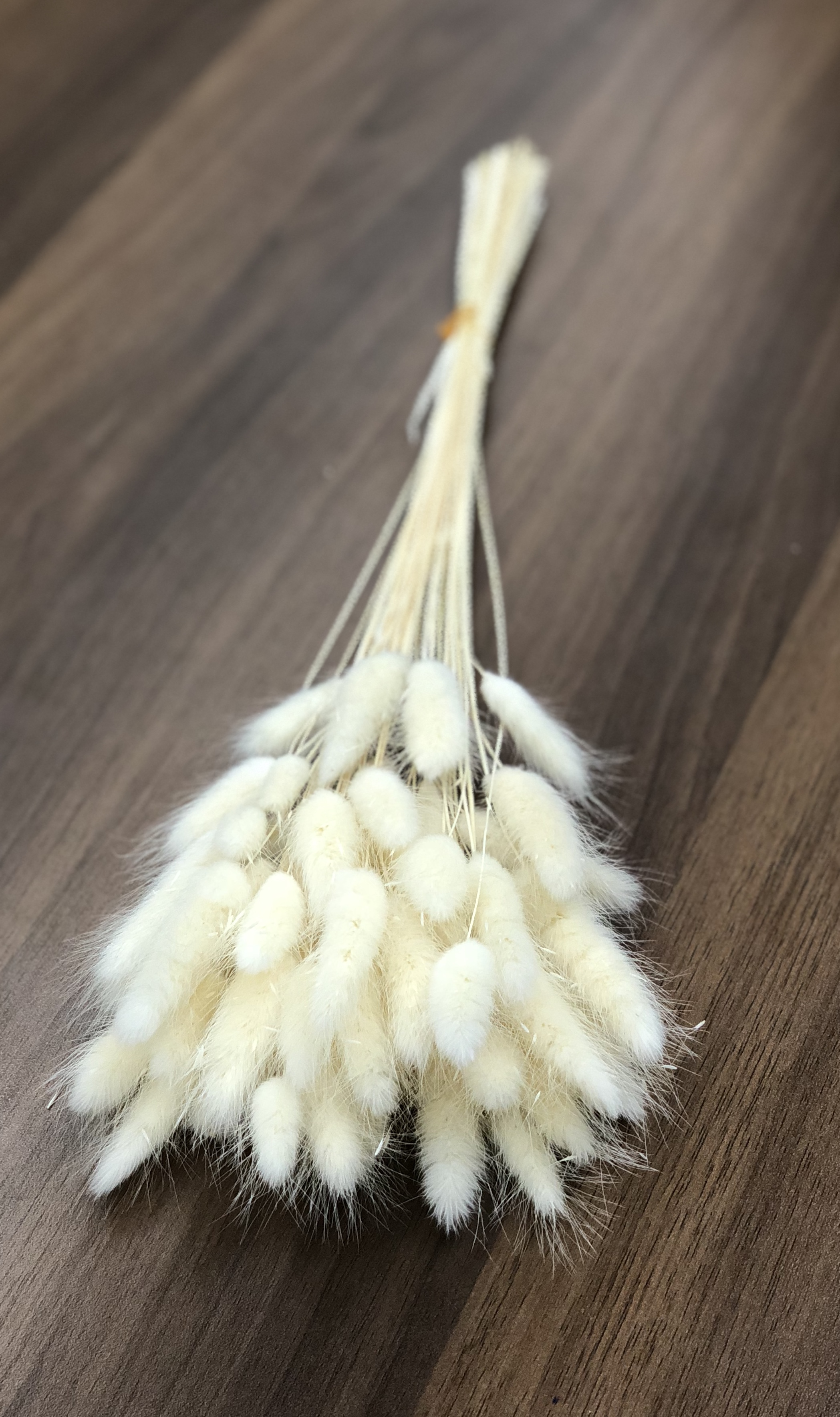 ラグラス　白　42050-011