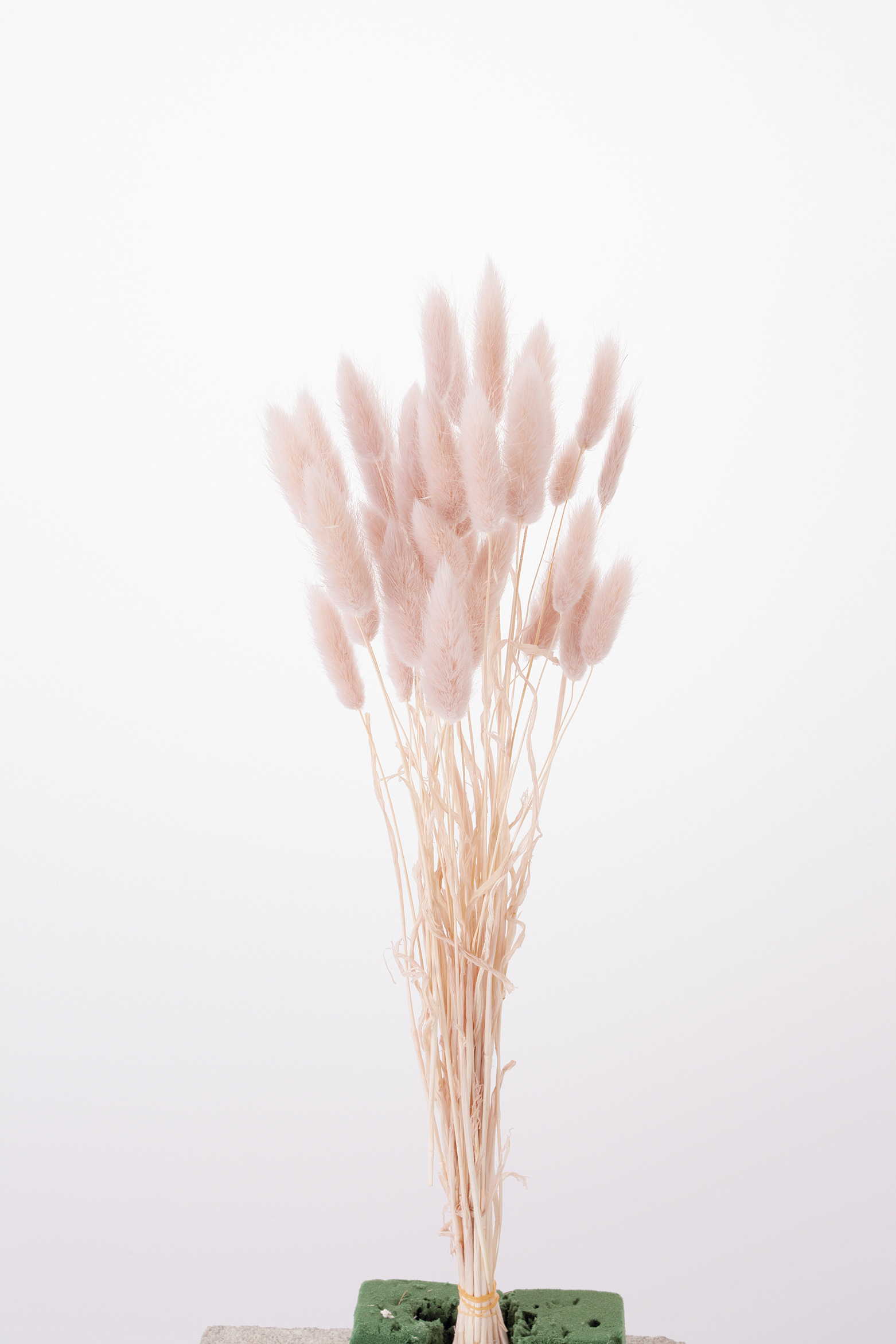 ラグラス　ピンクベージュ　42050-081