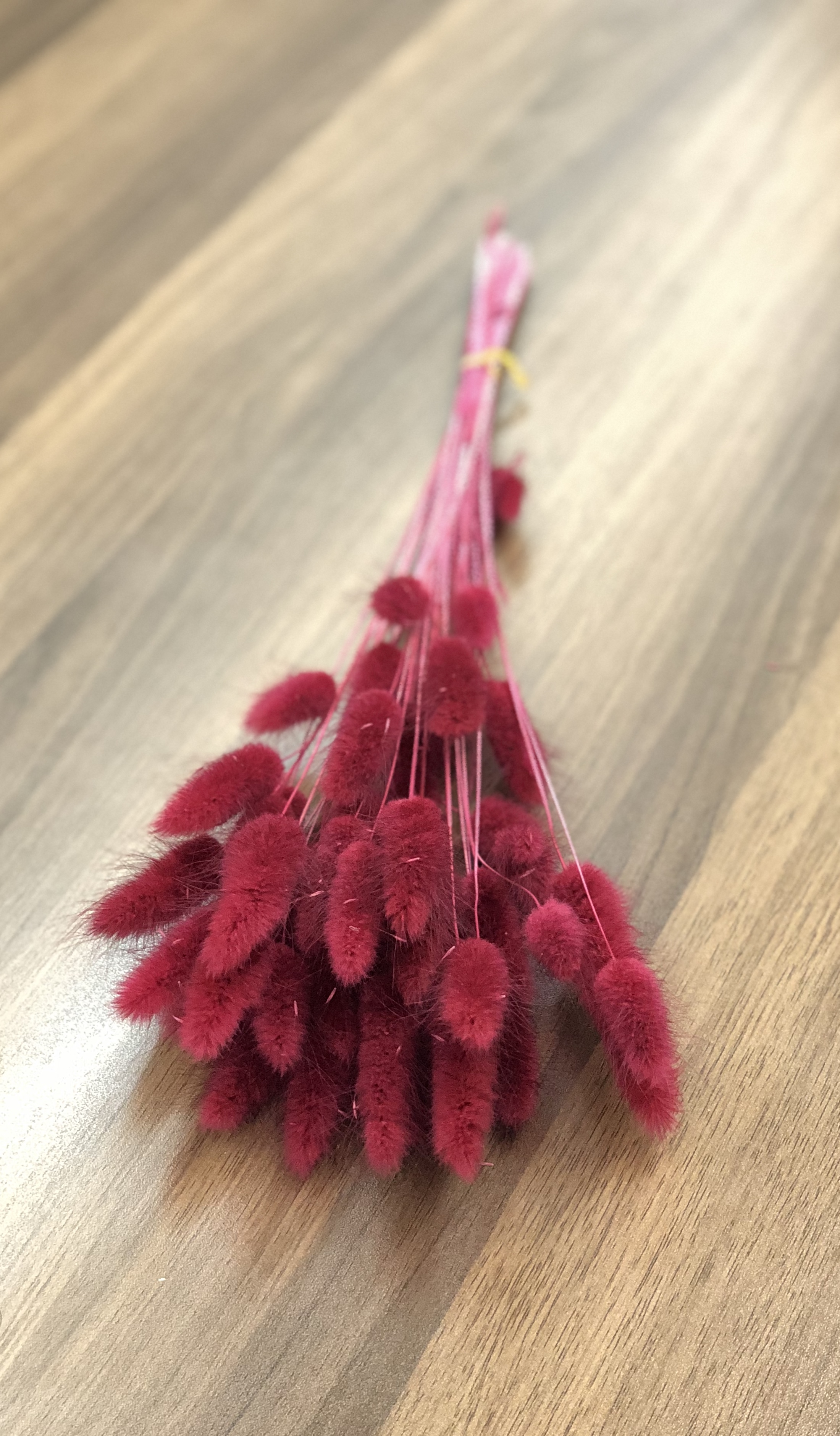 ラグラス　ワインレッド　42050-470