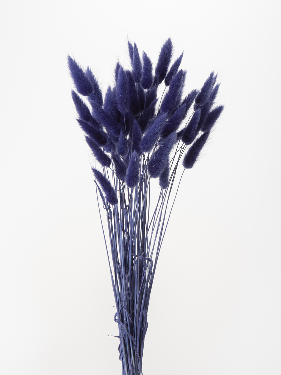 ラグラス　ネイビー　42050-661