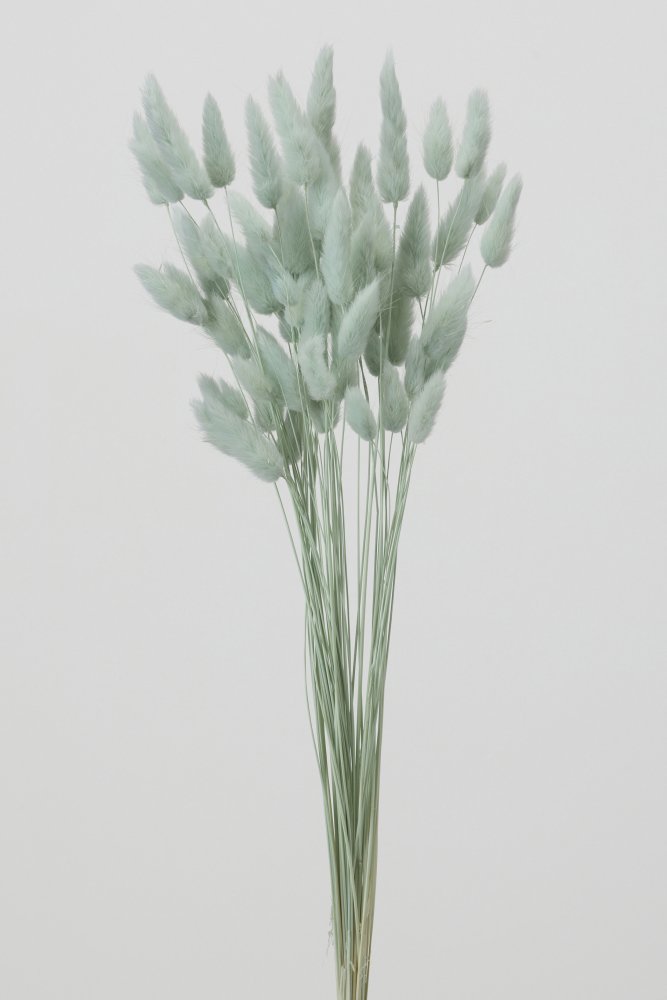 ラグラス　コバルトグリーン　42050-761