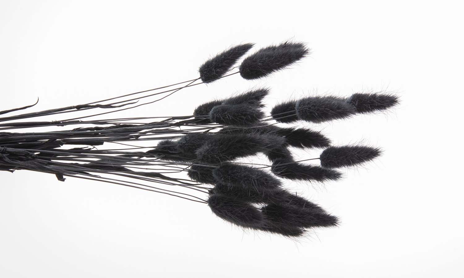 ラグラス　黒　42050-890