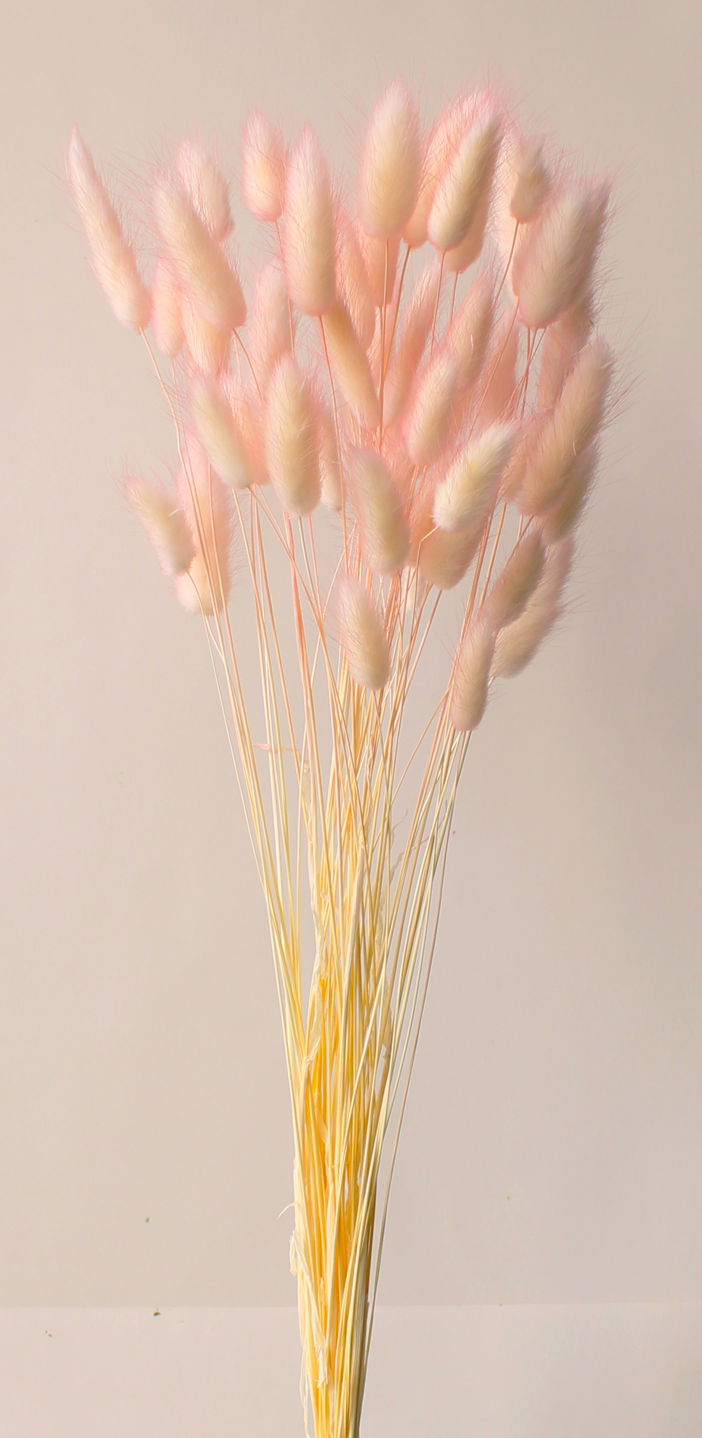 ラグラス・ツートン　ホワイトピンク　42055-102