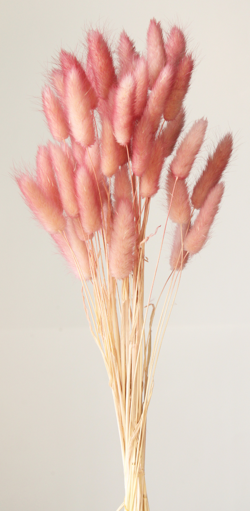 ラグラス・ツートン　カシスピンク　42055-122