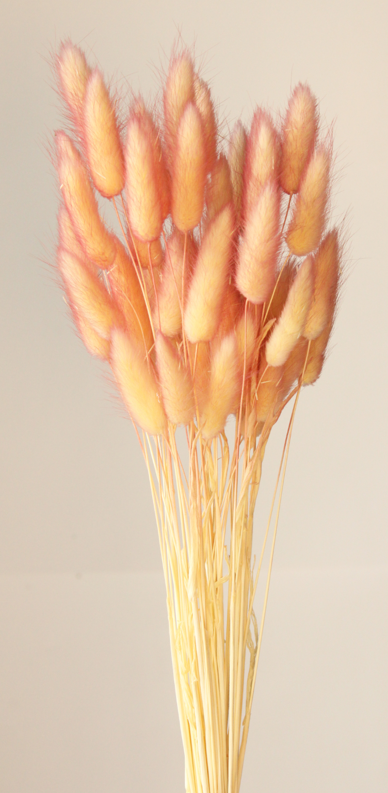 ラグラス・ツートン　イエローピンク　42055-512