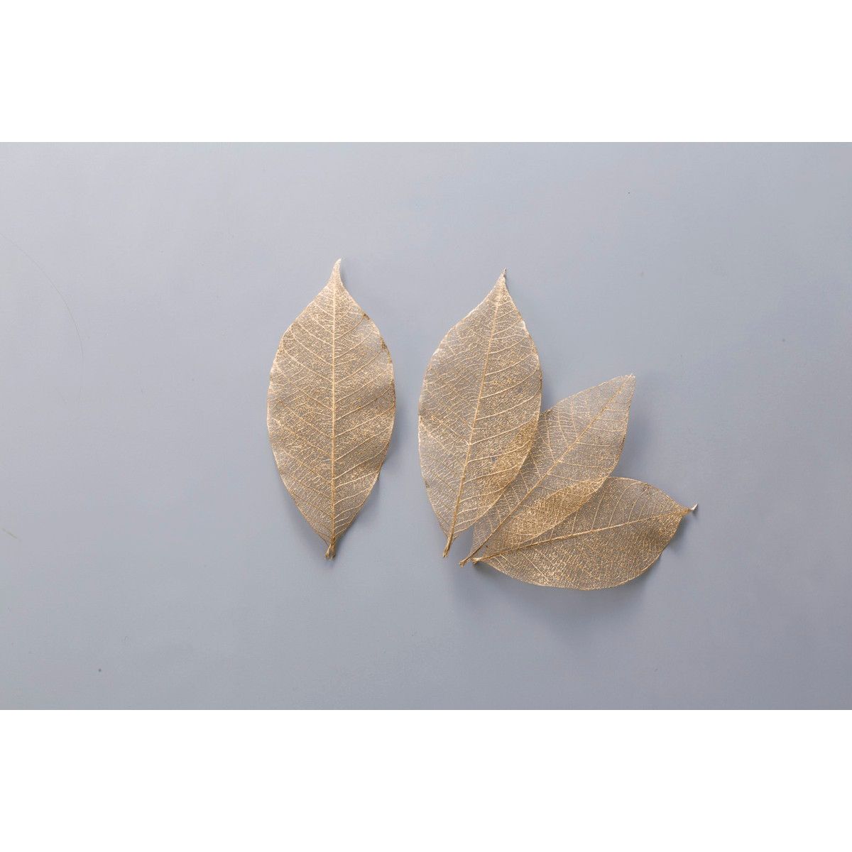 ミニスケルトンリーフ　大　ゴールド　51494-902