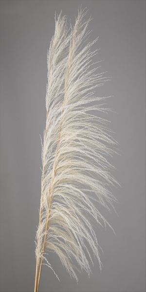 ウバストーク　オフホワイト　52460-011 ※こちらの商品は大型商品の為、別途送料が発生します。