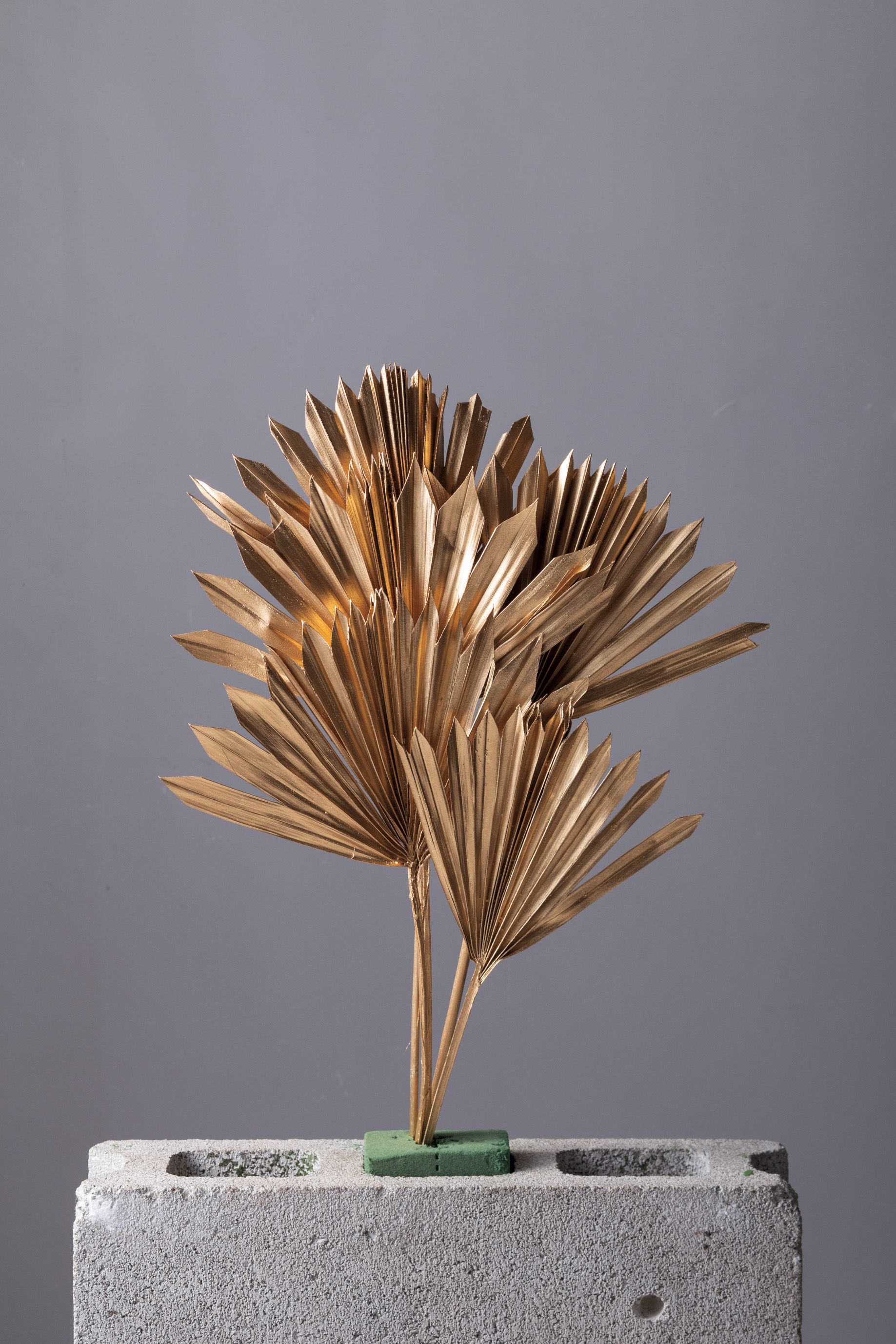 パームサンリーフ　ゴールド　54050-900　　メーカー廃番セール60％OFF