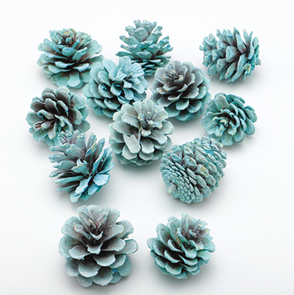 松かさ　ミニ　ミルキーアクア　廃盤セール60％ＯＦＦ
