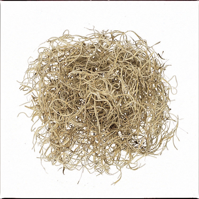 スパニッシュモス・N　小袋　61061-000