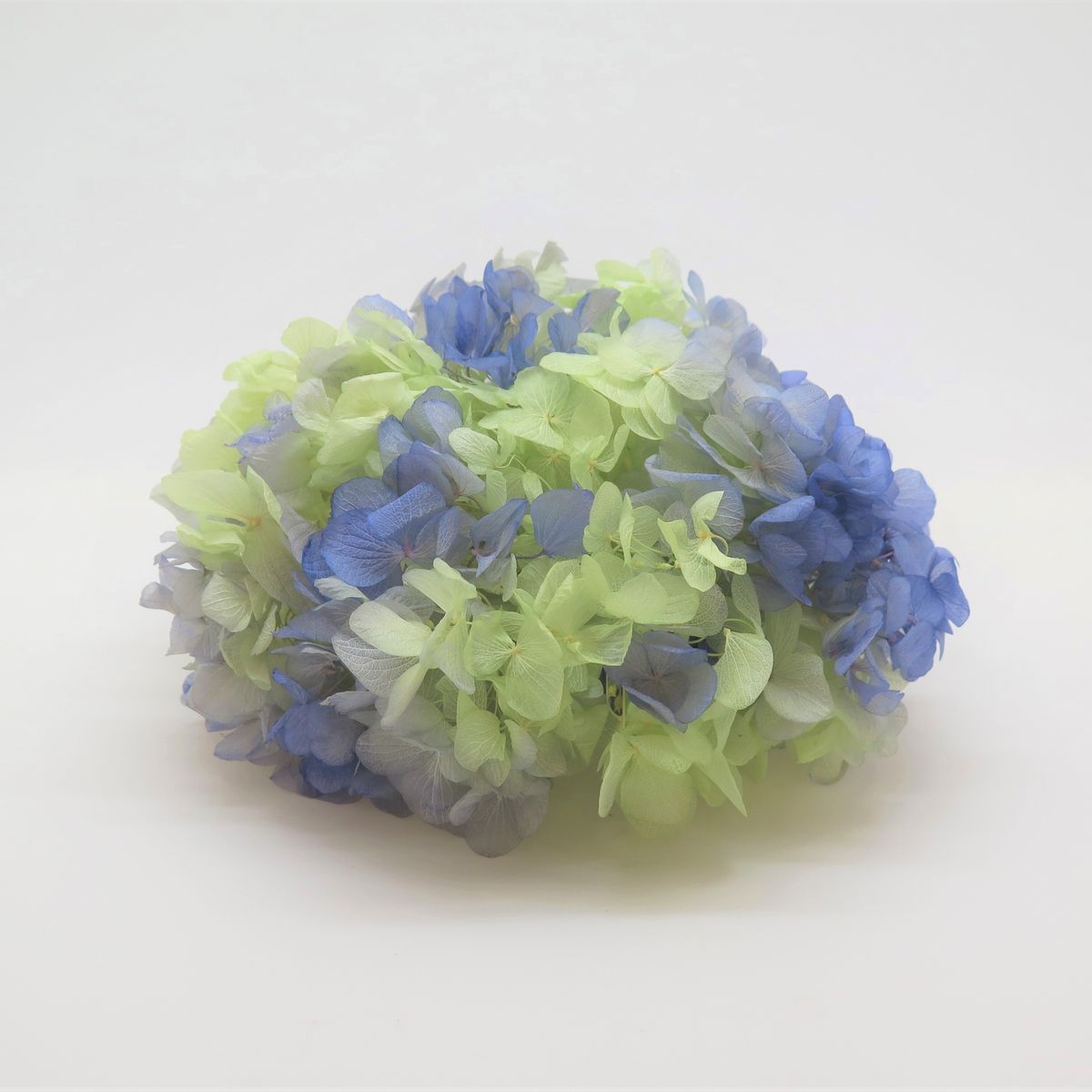 ソフトあじさい彩　　ラベンダー×クリアグリーン　64312