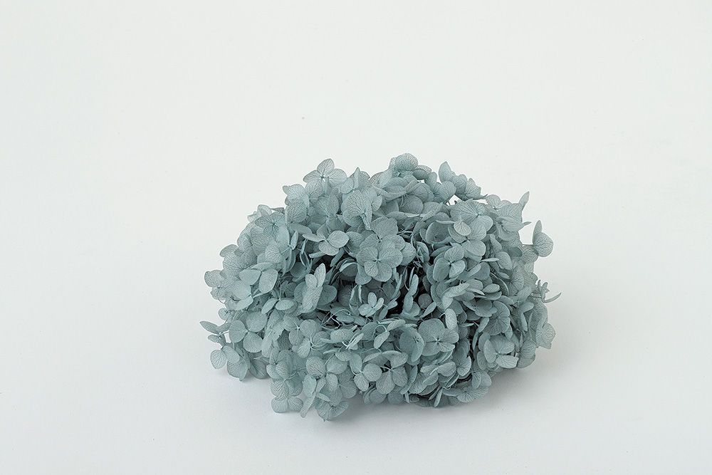 ソフトあじさいアナベル　グレイッシュブルー　64353