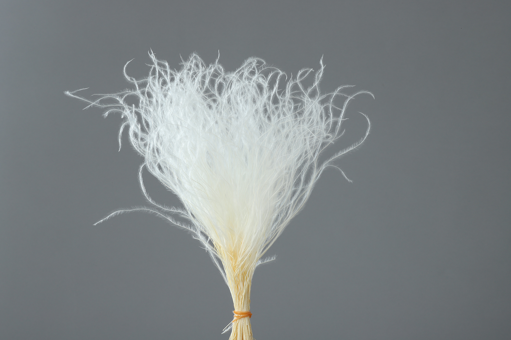 スティファ　サラシ　65099