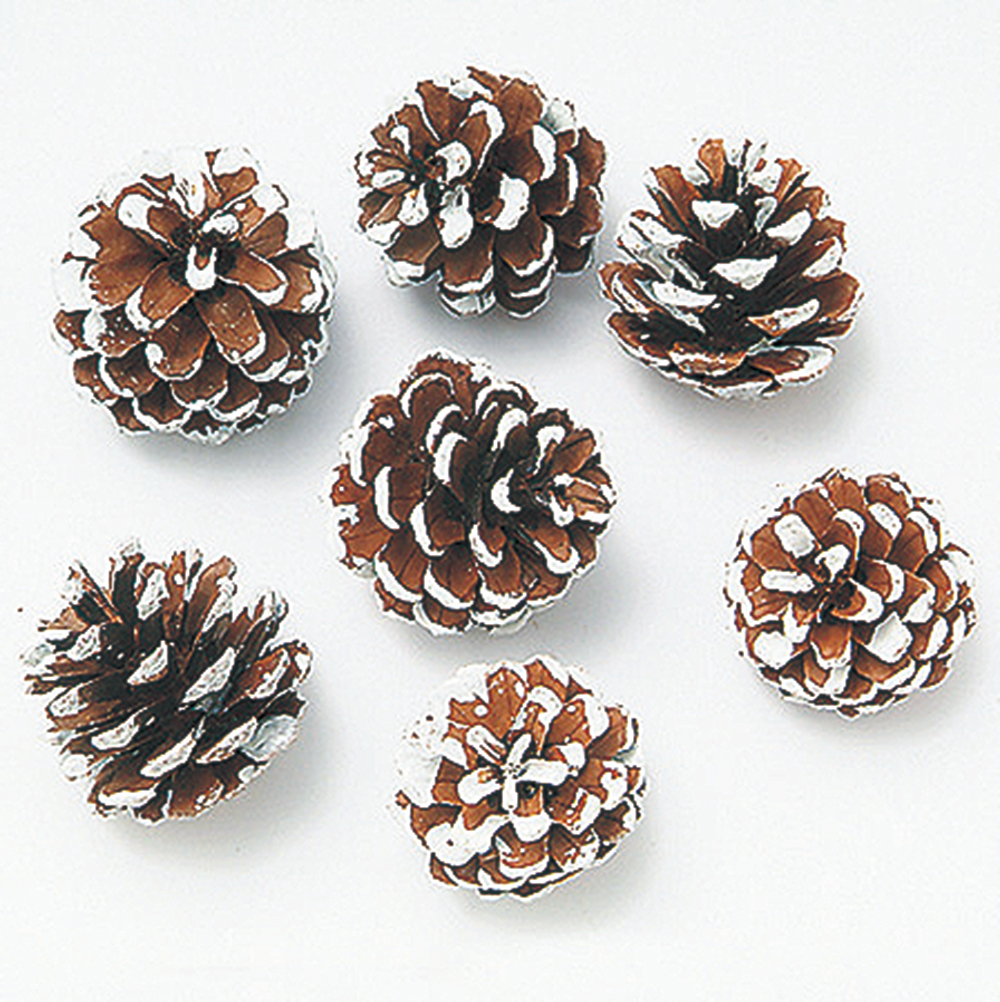 松かさ　アソート　N/フロスト