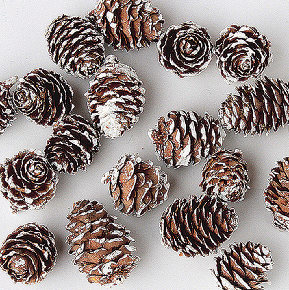 カラマツ　N/フロスト　※品番変更　66237