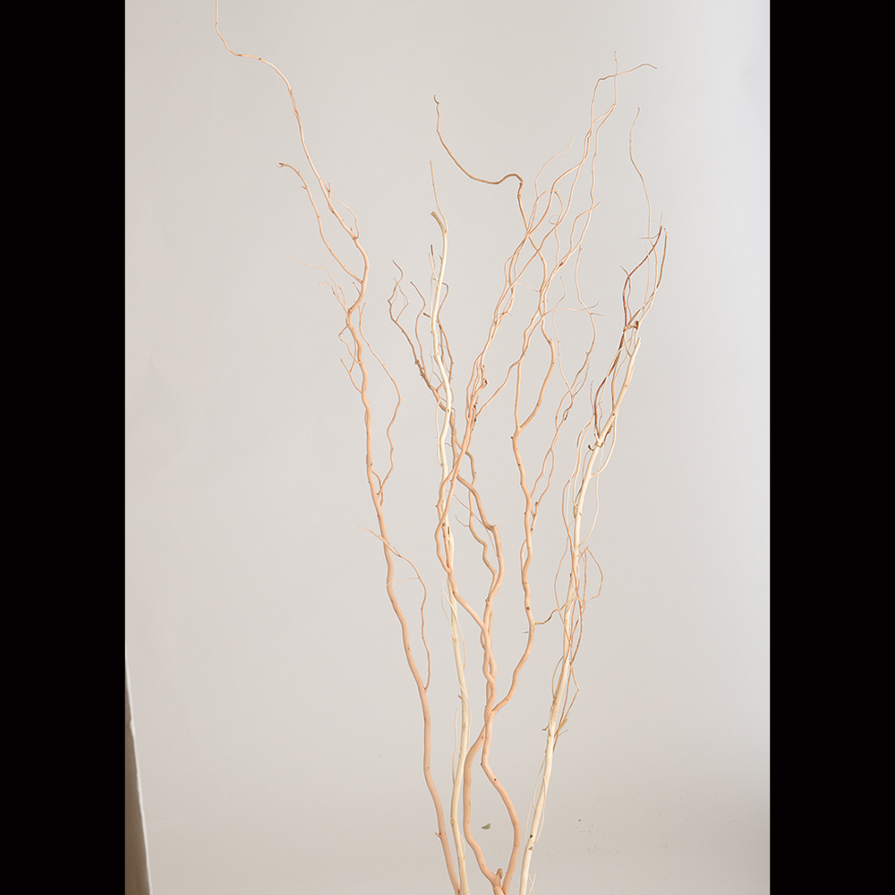 うんりゅう柳　N皮むき　5本　69048