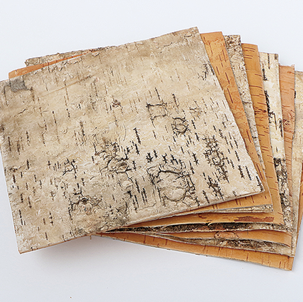 白樺皮 正方形 L ドライフラワー卸売り販売のミルキーウェイ