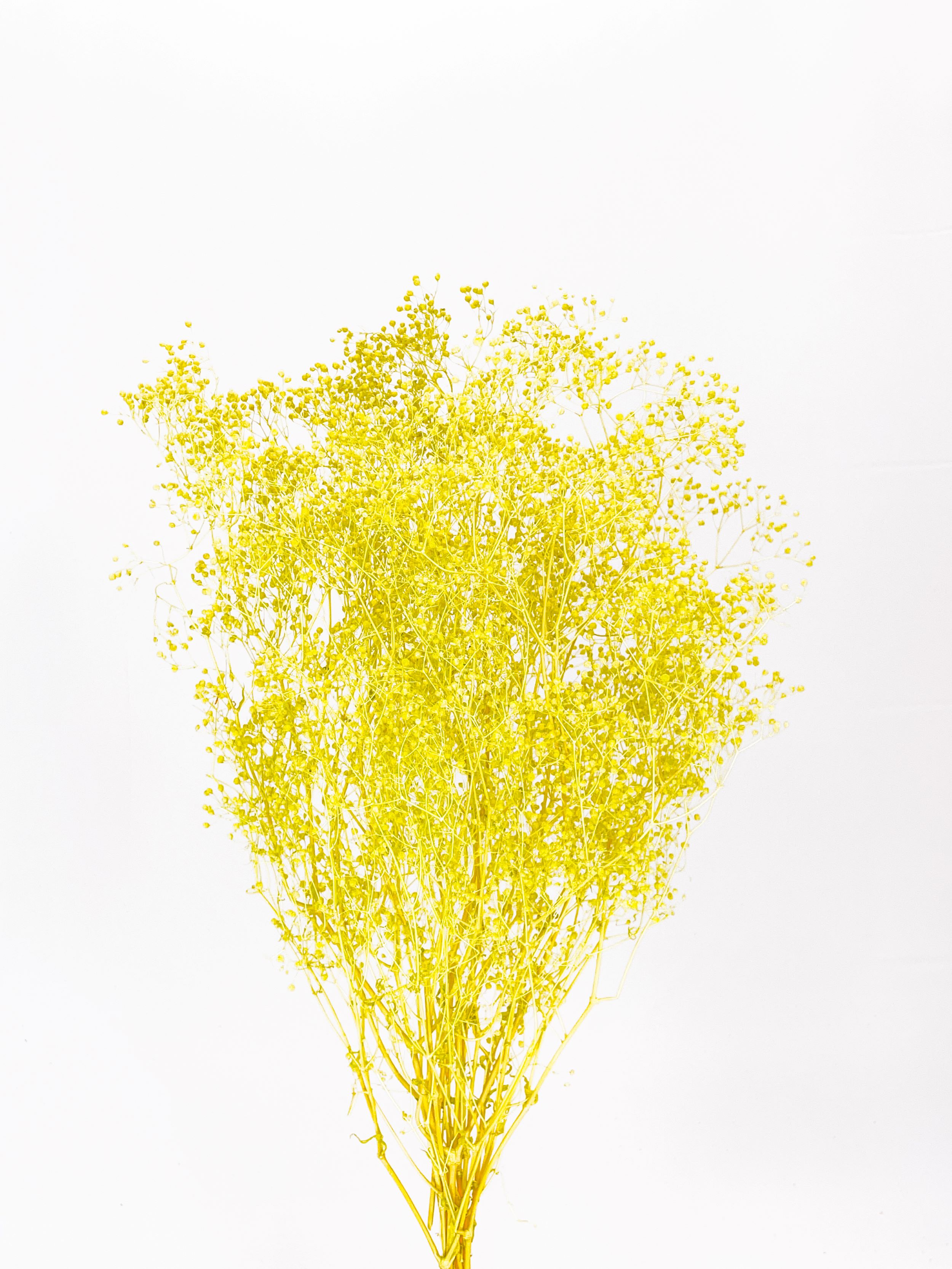 ソフトミニカスミ　レモン　79059