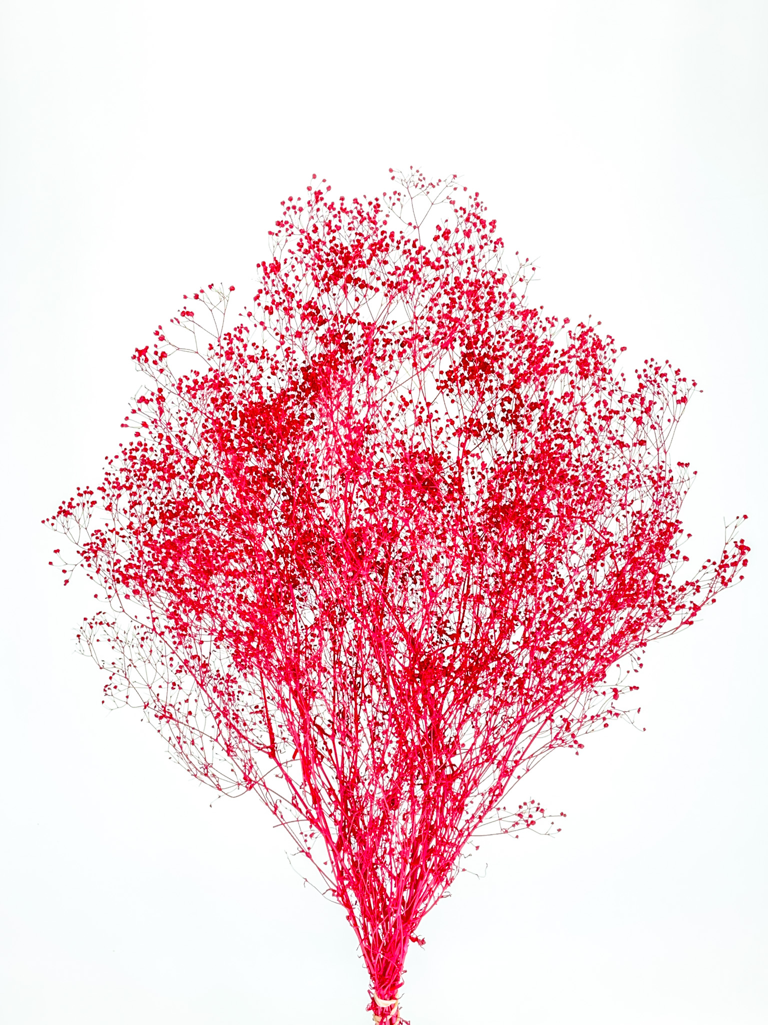 ソフトミニカスミ　レッド　75789