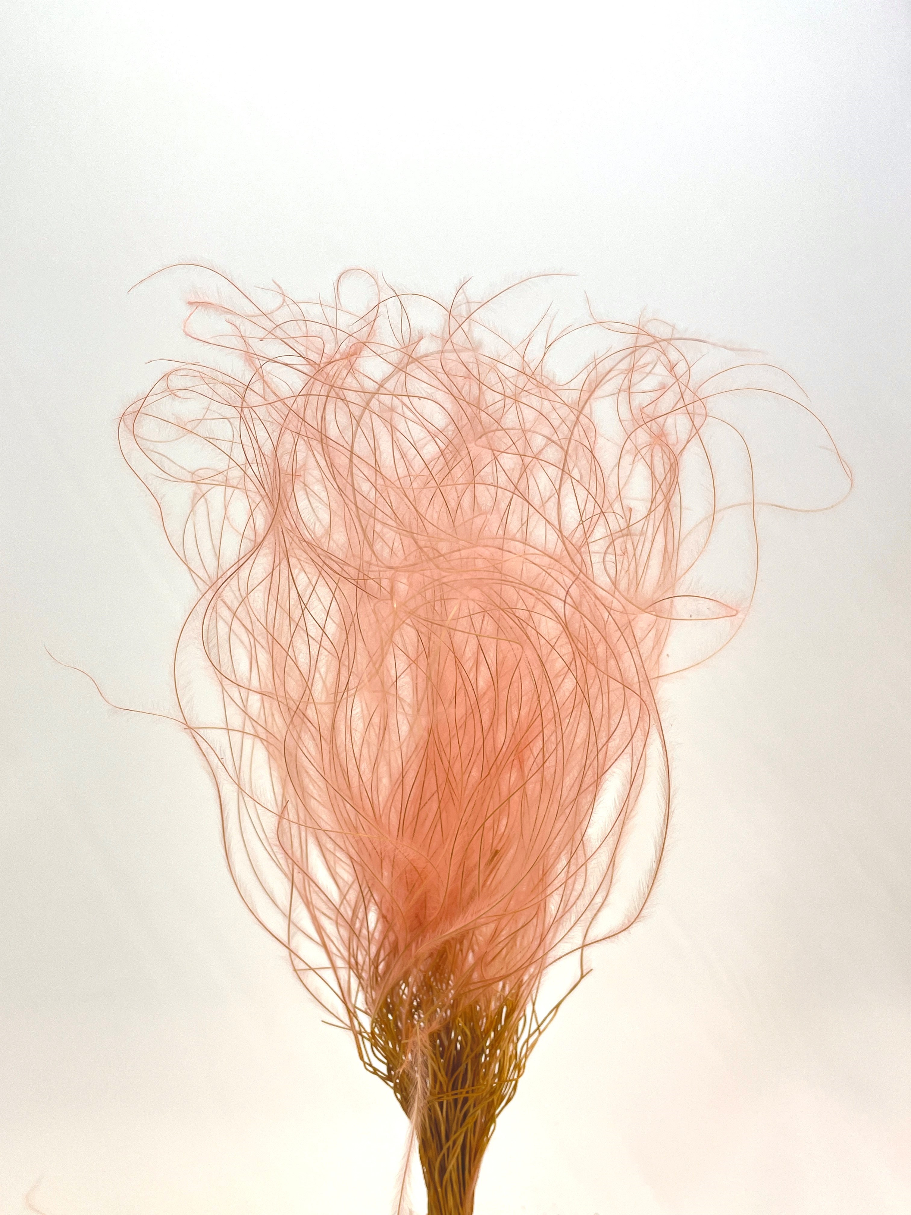 スティファ　ベビーピンク　76187