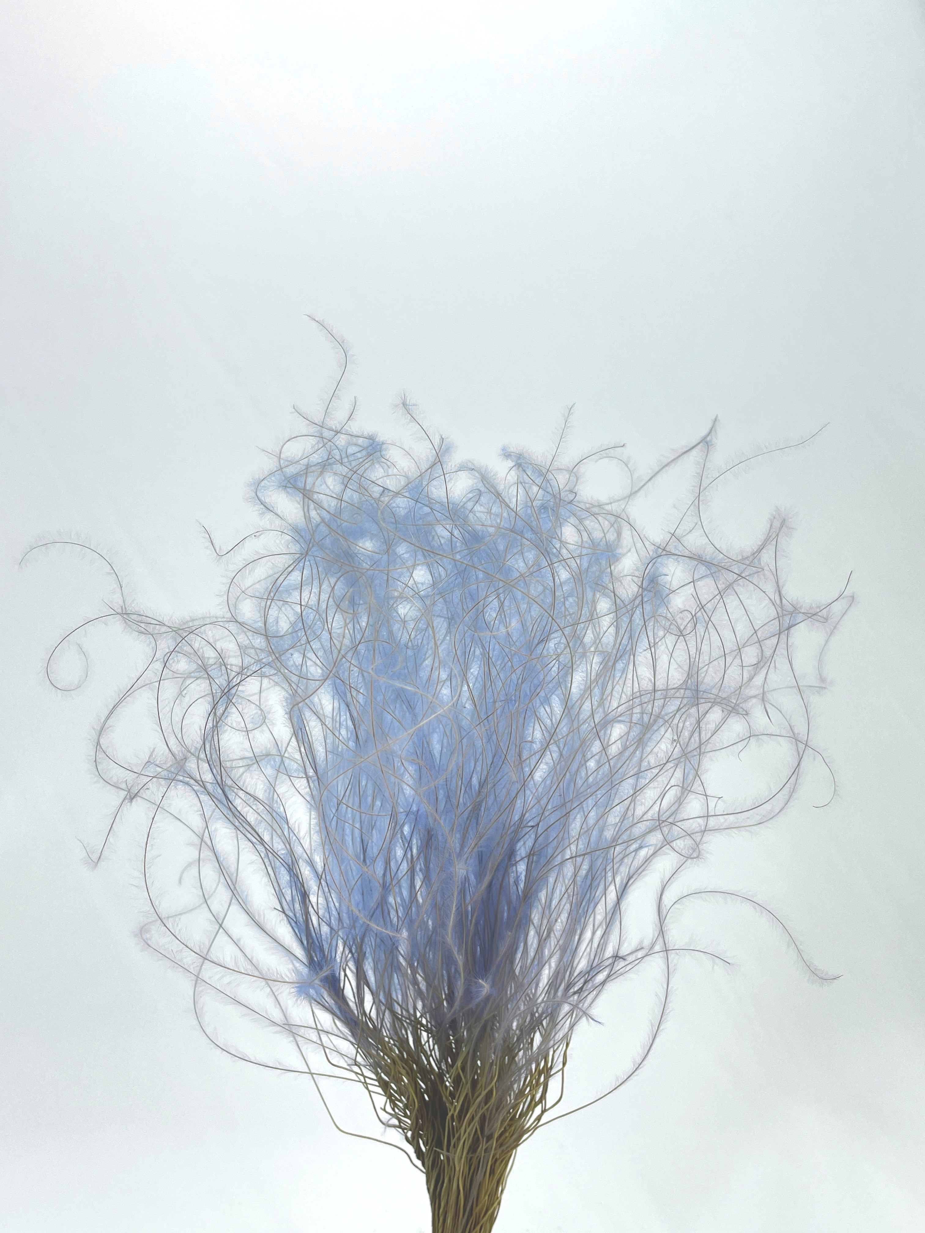 スティファ　パープリッシュブルー　76190