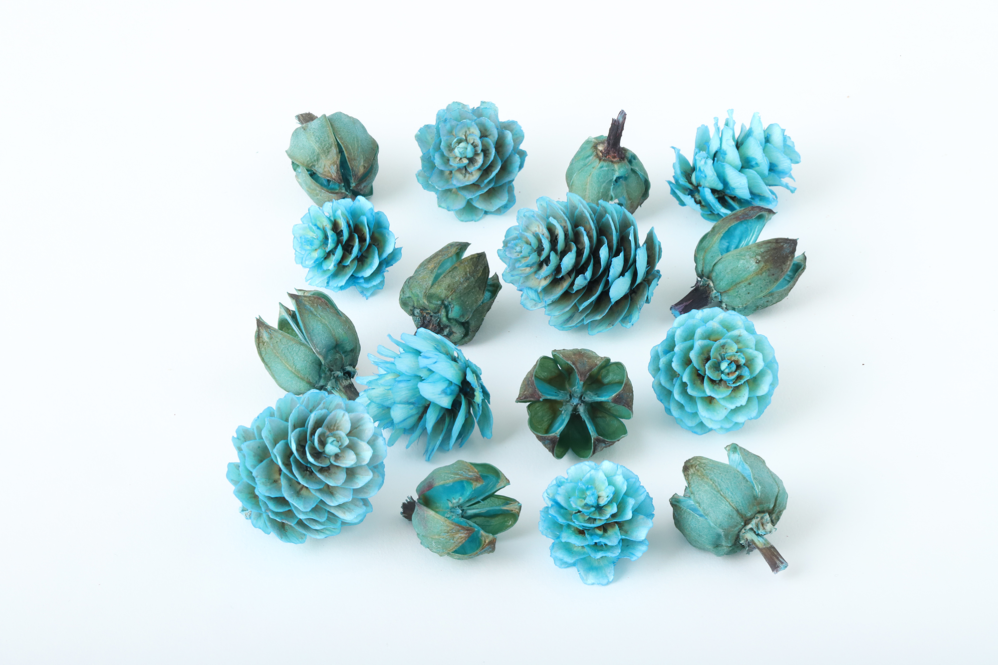 FM木の実２種アソート　ブルー　80704