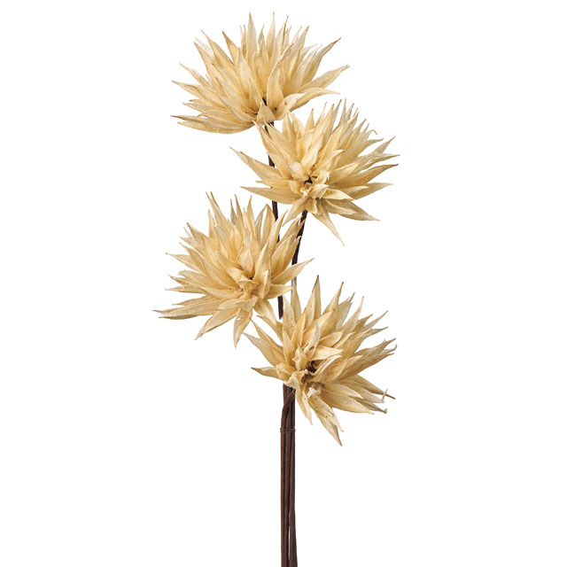 ベビーマンチャ　ホワイト　DI10002-101