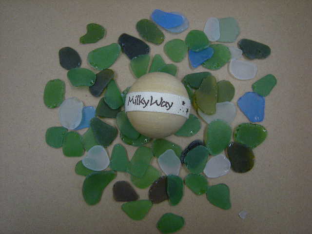 シ－グラス（ＸＬ）・平面・グリ－ンミックス