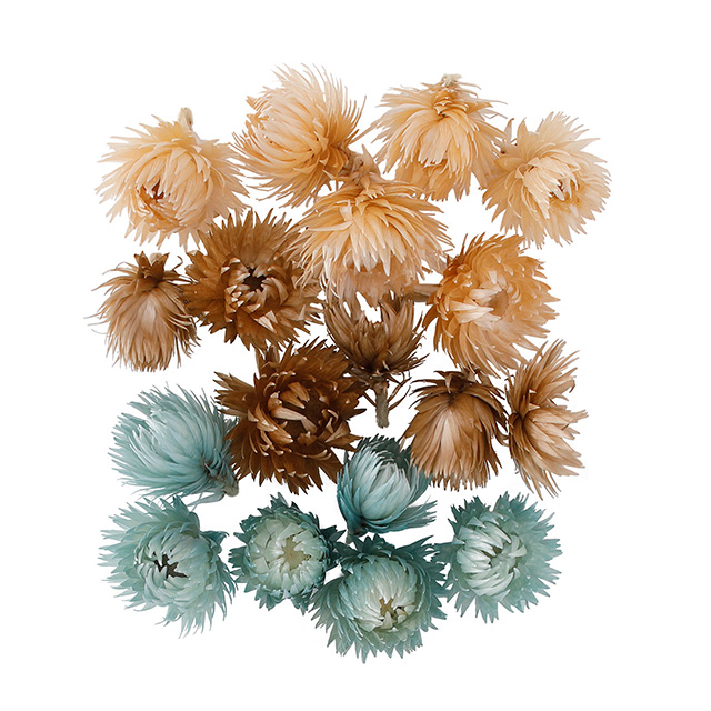 シルバーデージーヘッド　大・小アソート　チョコミックス　FD4952