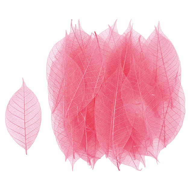 ミニスケルトンリーフ・小・トロピカルピンク　FD51493-28