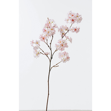 八重桜×53　ツートンピンク/アスカ　A-31650-3T