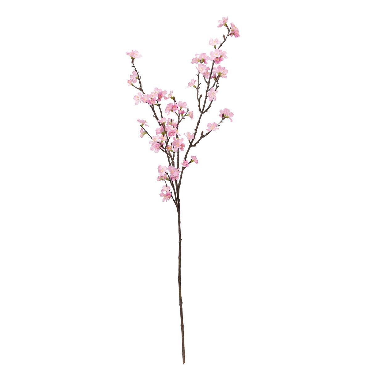 桜×72 #003 ピンク/アスカ　A-33837-3