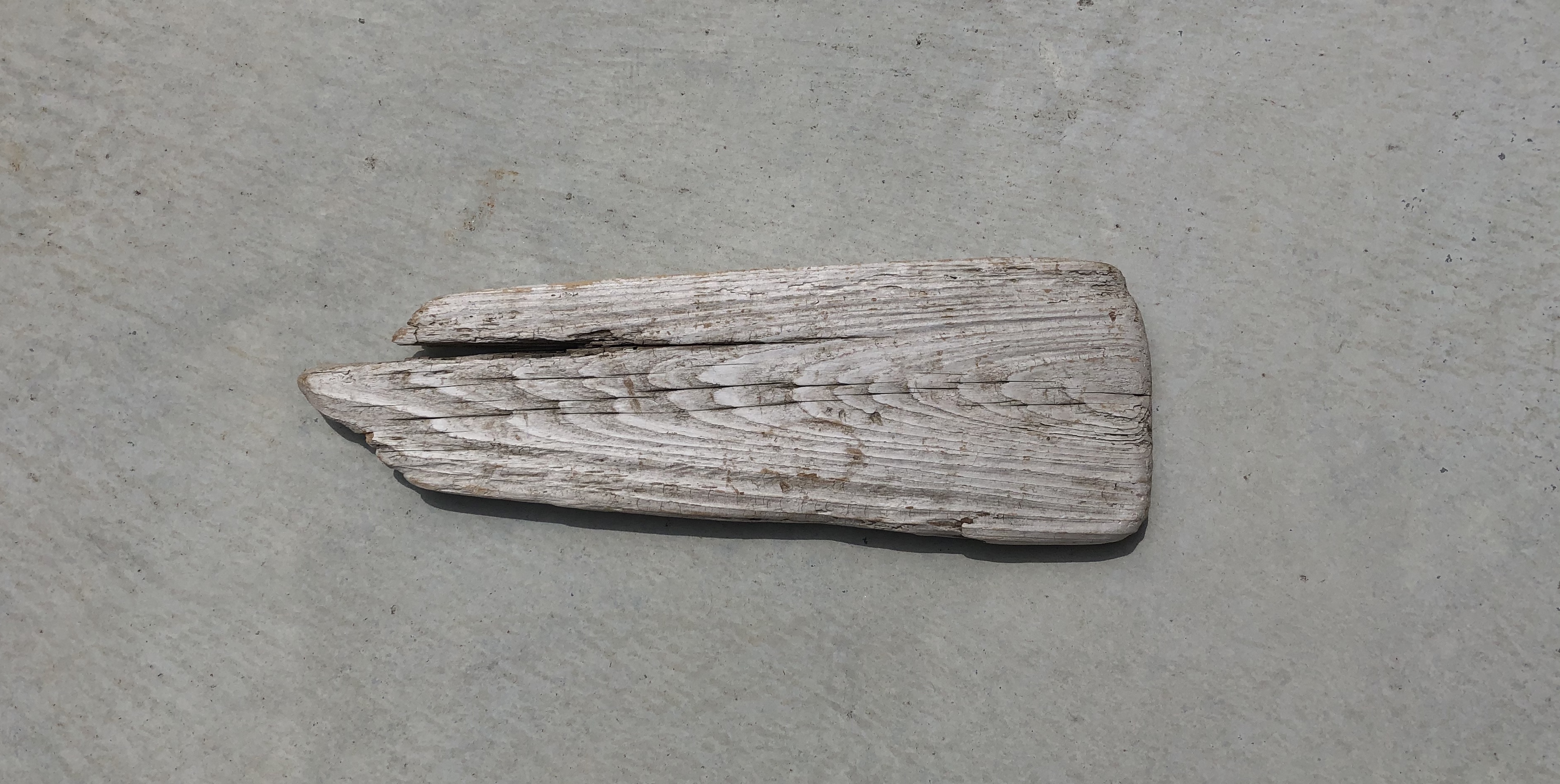 流木　L　板　横34ｃｍ×幅11ｃｍ