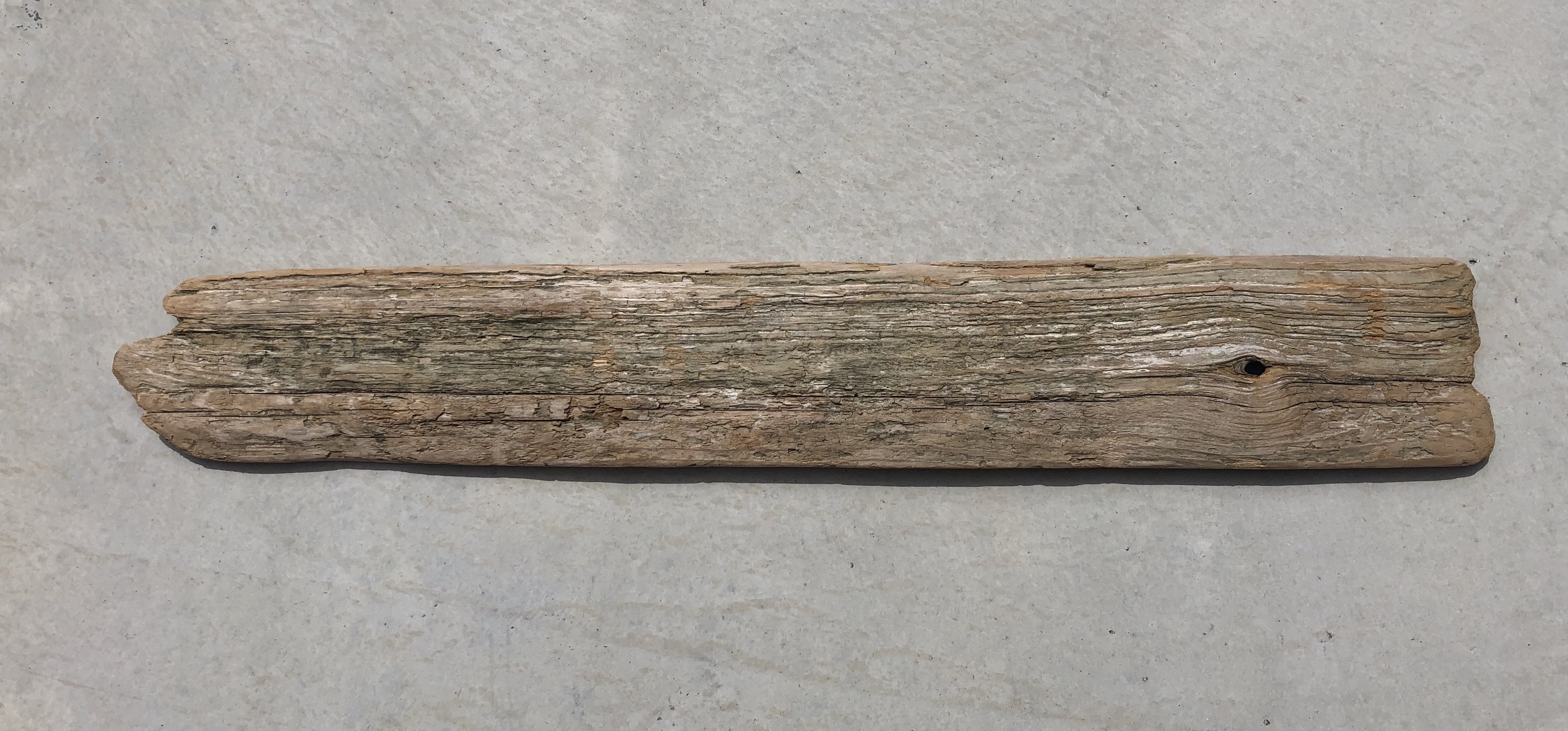 流木　L　板　横57ｃｍ×幅9ｃｍ