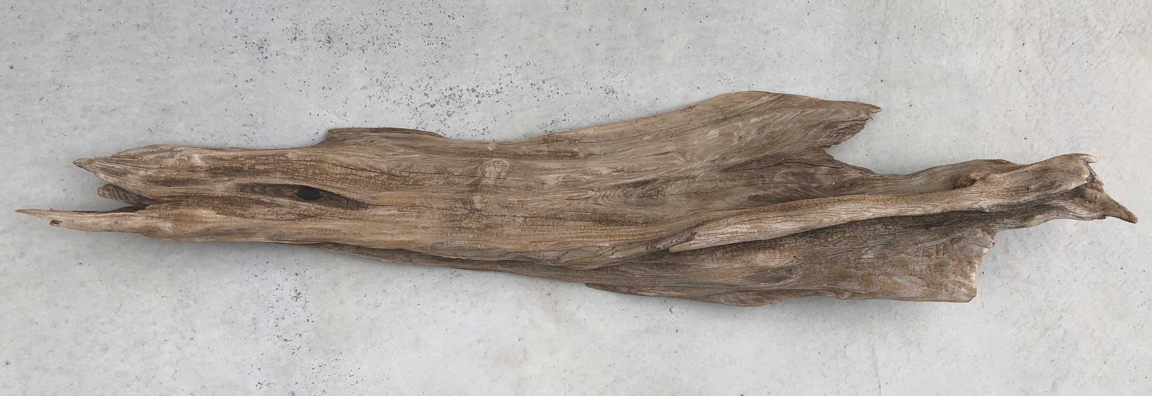 流木 XXL　変形　　横１１６ｃｍ×幅２５ｃｍ　一点物。とても立派な流木です。