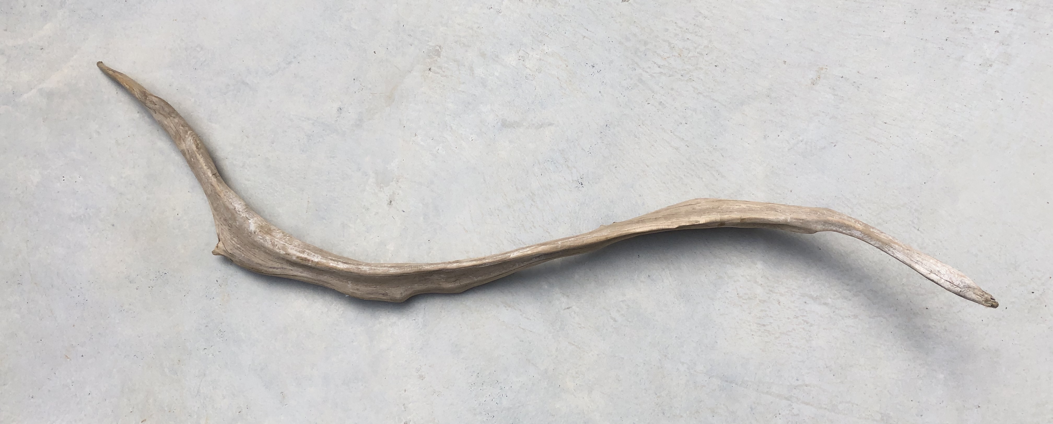 流木 XL　変形　　横１２５ｃｍ×直径　１７ｃｍ