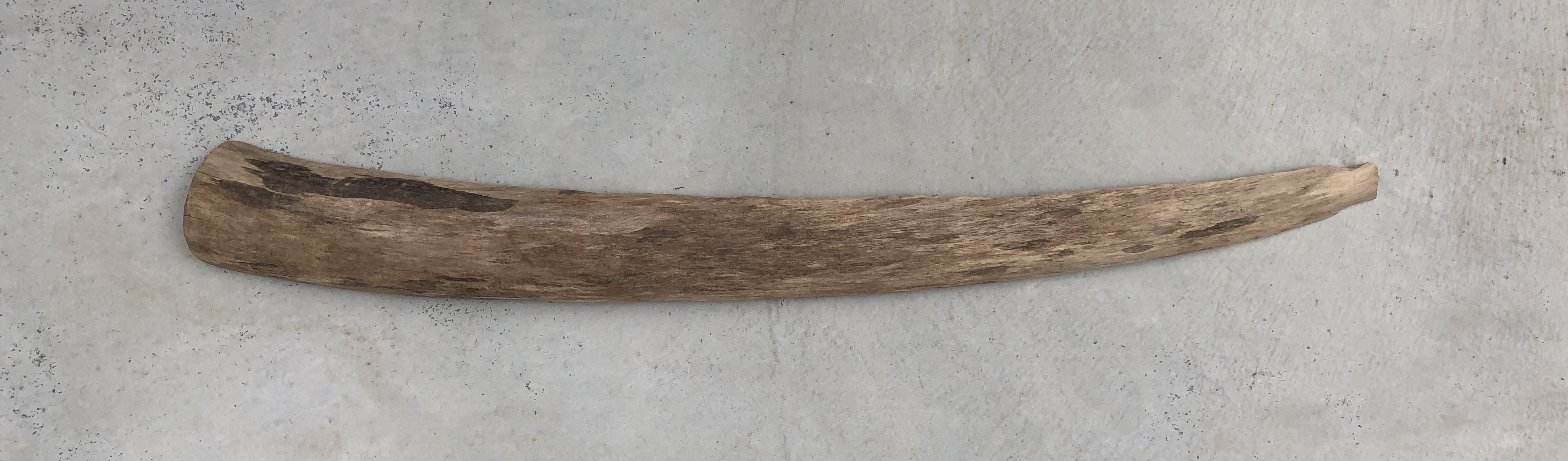 流木 XL　変形　　横110ｃｍ×直径２８ｃｍ