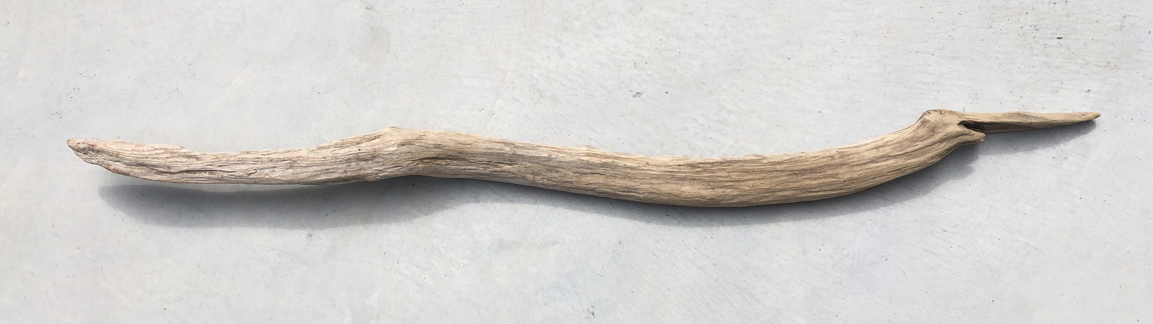流木 XL　変形　　横１２４ｃｍ×直径１９ｃｍ
