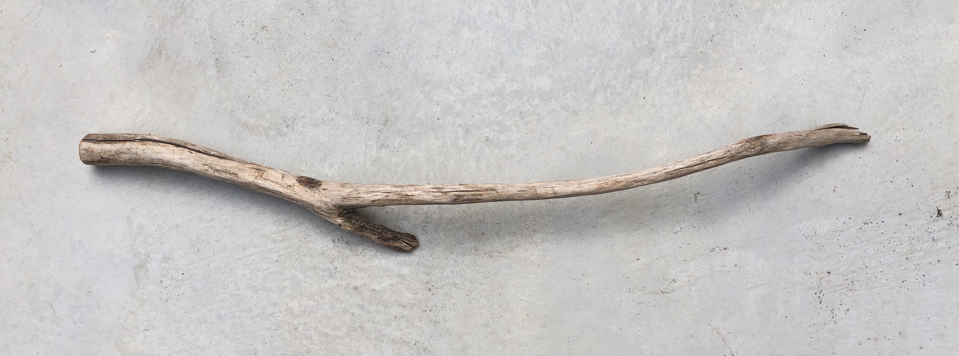 流木 L　変形　　横９０ｃｍ×直径１０ｃｍ