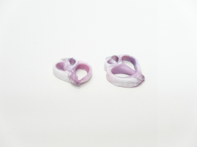 センターカット　セブビューティ