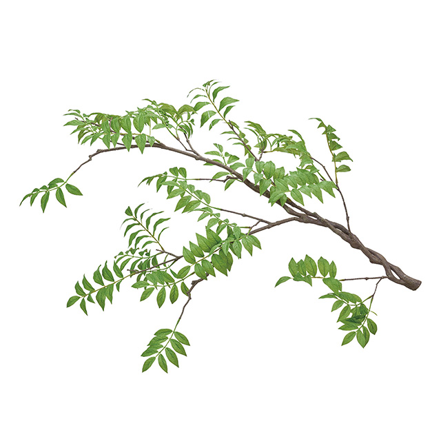 ウィステリアハンギングＭ ＧＲＥＥＮ　FG302220