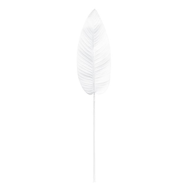 カフェラカンナリーフ ＃１　　ＷＨＩＴＥ FG004365-001