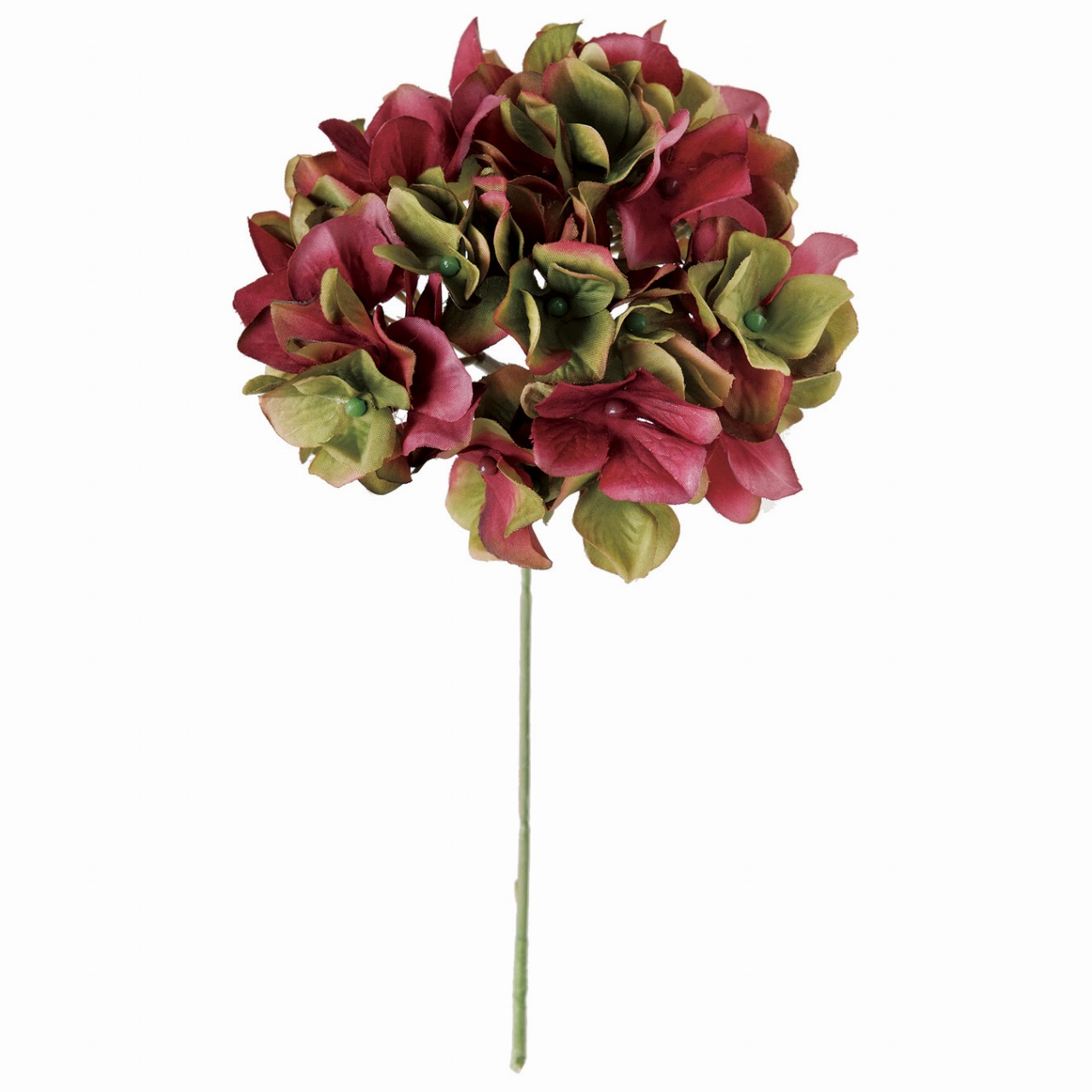 FM25049-12　アーベントハイドレンジア　オーキッドグリーン　