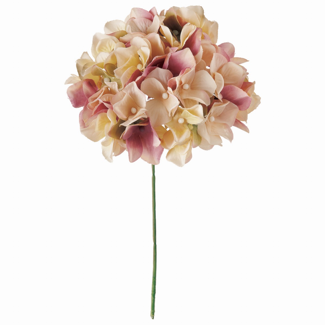 FM25049-48　アーベントハイドレンジア　クリーモーブ　