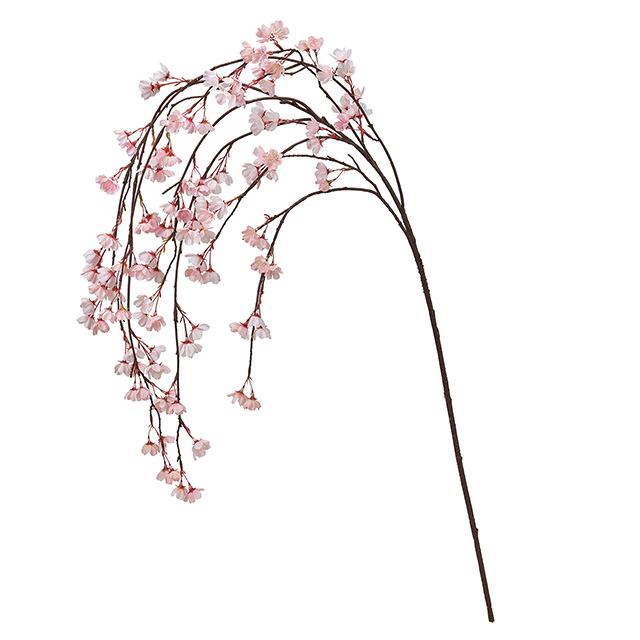 みちる桜バイン ＃２　　ＬＴＰＫ　FM300393-002