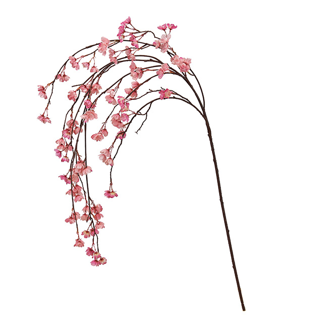 みちる桜バイン ＃６　　ＤＵＳ．ＰＥ　FM300393-006