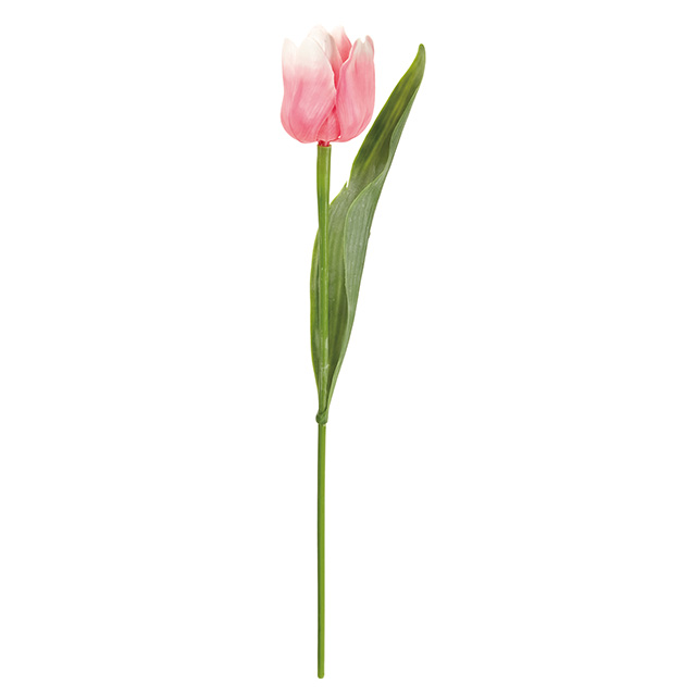 パルティチューリップ ＃2　PINK　FM3225-002