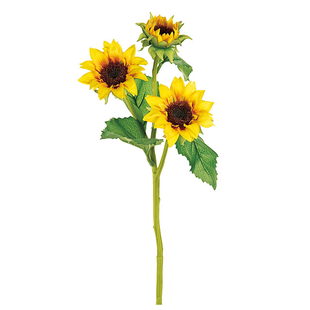 モネサンフラワー ＹＥＬＬＯＷ　FM008215